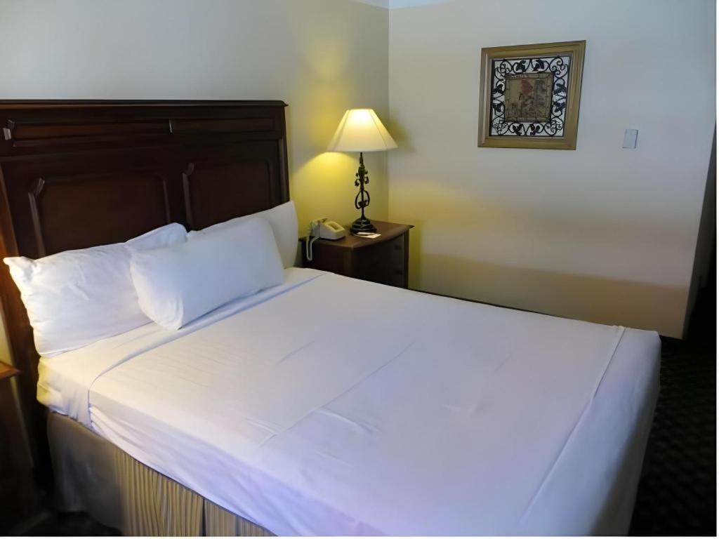 El Cortez Hotel & Casino - 21 And Over Only (Adults Only) Las Vegas Ngoại thất bức ảnh