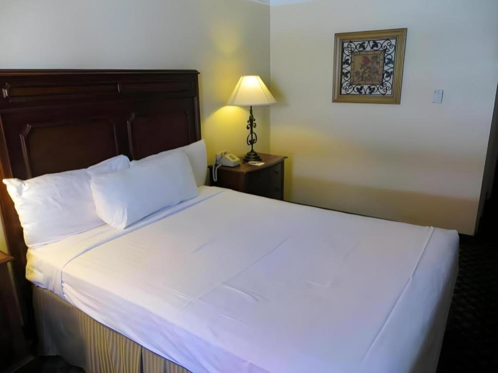El Cortez Hotel & Casino - 21 And Over Only (Adults Only) Las Vegas Ngoại thất bức ảnh
